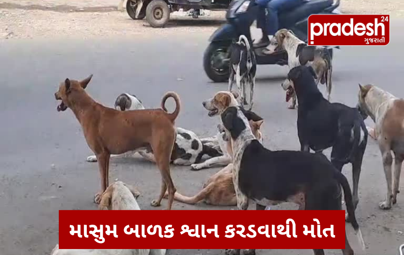 અમરેલીના ચિત્તલની સીમમાં હિંસક બનેલા શ્વાને બે બાળકો પર હુમલો કર્યો, એકનું મોત